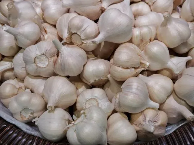 大蒜裡的大蒜素並不是普通的調味料氣味,而是天然的抗菌劑。(圖/Photo AC)