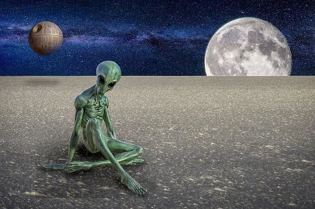 一位日本網紅認為釋迦剝開外皮時很像「外星人分娩」。(示意圖/Pixabay)