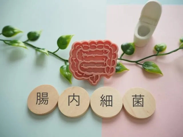 腸道中的有害菌過多，造成大腦獎勵中樞過度活化，所以會讓大腦感覺飢餓。（圖／Photo AC）