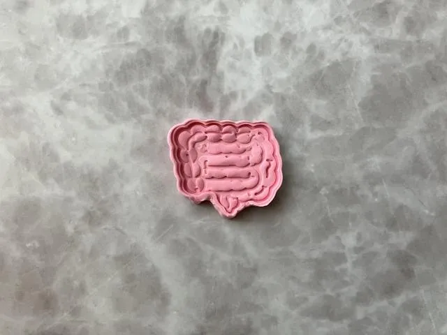 大腸癌是治癒率相對較高的癌症，早期確診並妥善治療後，存活率可達90％以上。（圖／Photo AC）