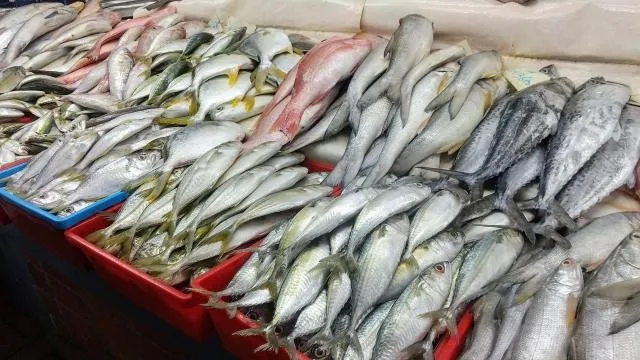 魚肉特別是深海魚，富含Omega-3多元不飽和脂肪酸，有助於抑制壓力荷爾蒙皮質醇並具抗發炎效果。（圖／Photo AC）