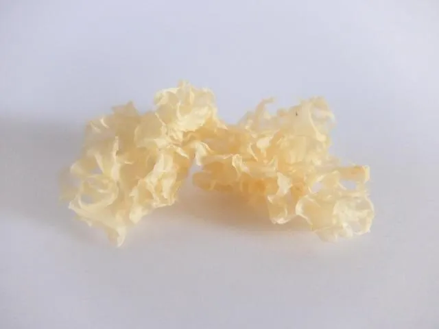 白木耳富含天然膠質與多醣體，被譽為「菌中之冠」，不僅能防止皮膚老化，還常用於改善無痰乾咳。（圖／Photo AC）