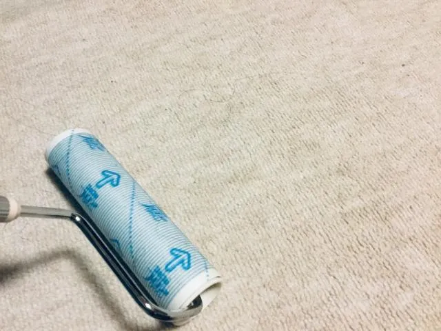 一名年近六旬的家庭主婦因長期陷入檢查地板是否有落髮的焦慮中，即使剛檢查過確定乾淨，幾分鐘後仍忍不住再度查看。（圖／Photo AC）