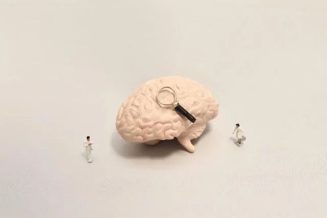張家銘說明，情緒壓力來時，前額葉皮質的調控能力下降，情緒中樞變得敏感。（圖／Photo AC）