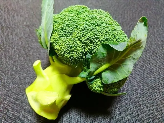 花椰菜梗外皮雖粗糙，削皮後的內芯在維生素C含量上，於某些品種中甚至比花球更為密集。（圖／Photo AC）