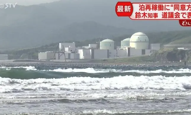 泊核能發電廠。（圖/翻攝NNN）