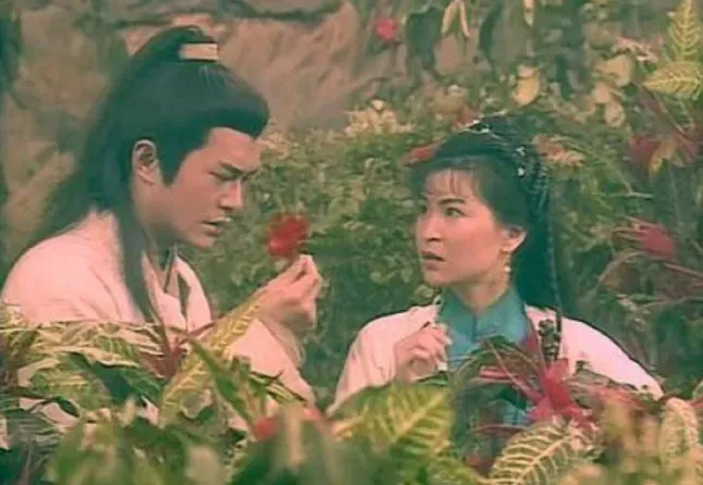 《神鵰俠侶》中楊過（左）誤觸情花導致中毒，不料真有現實版的「身中情花之毒」。（圖／翻攝自微博）