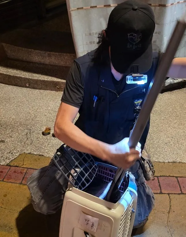 準備進行小貓救援。（圖／新北動保處）