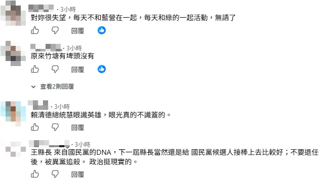 王惠美臉書出現批評留言。（圖／翻攝王惠美臉書）