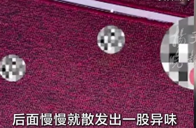 地毯上赫見便便痕跡。(圖/翻攝《網易》)
