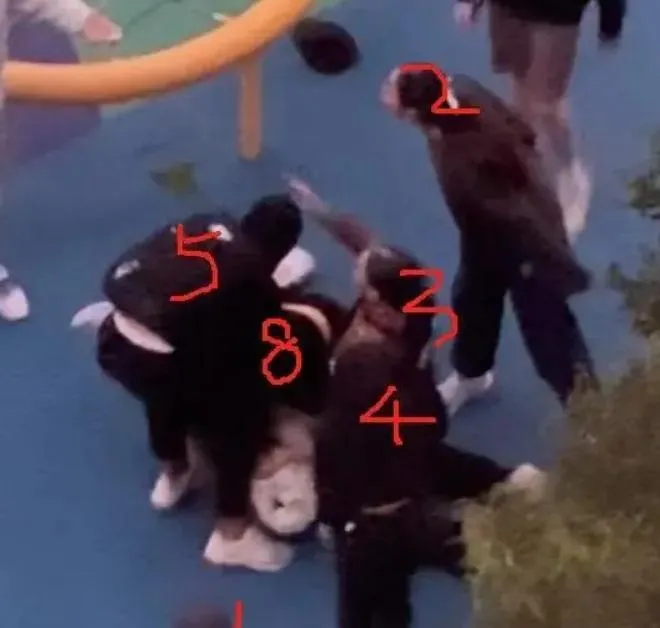 根據現場畫面顯示，一群青少年圍著這對華人夫婦暴打。（圖/翻攝《鳳凰網》）