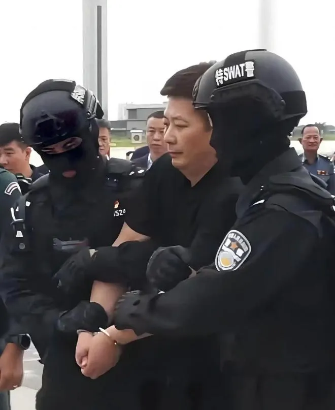 柬埔寨太子集團骨幹劉忍被捕押回大陸。（圖／翻攝環球網）