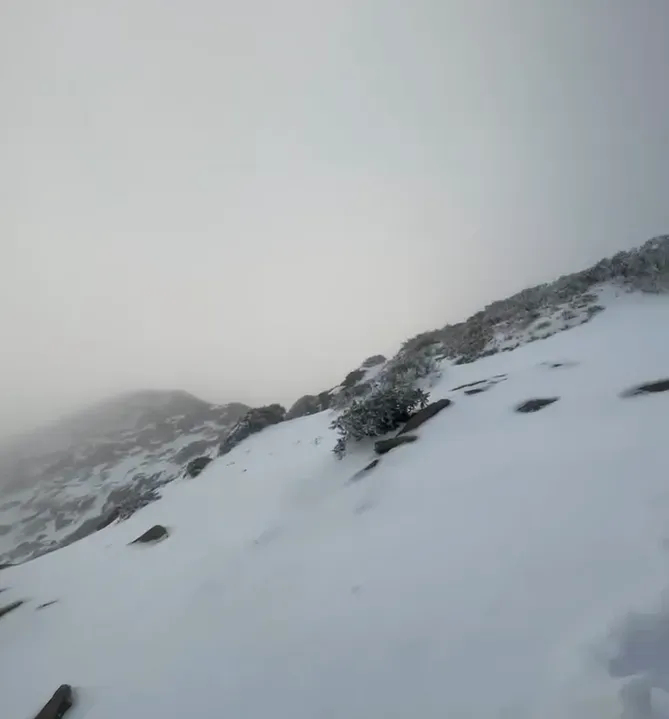 雪霸國家公園高山雪景。（圖／山友鄭莛瑞提供）