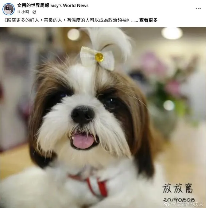 陳文茜臉書發文，表態力挺郝龍斌。（取自陳文茜臉書）