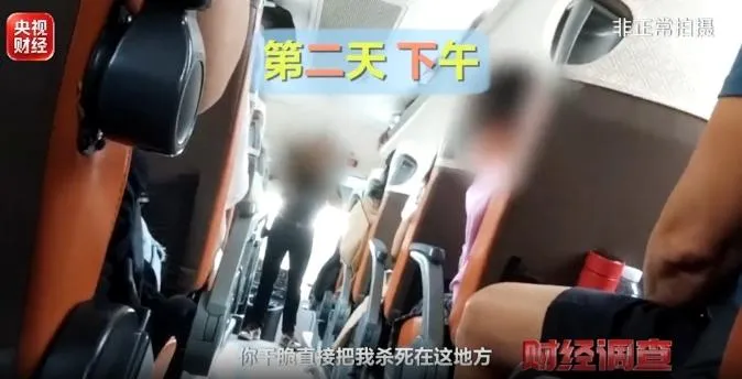導遊抱怨自己虧本，暗示消費者消費。（圖／翻攝央視）