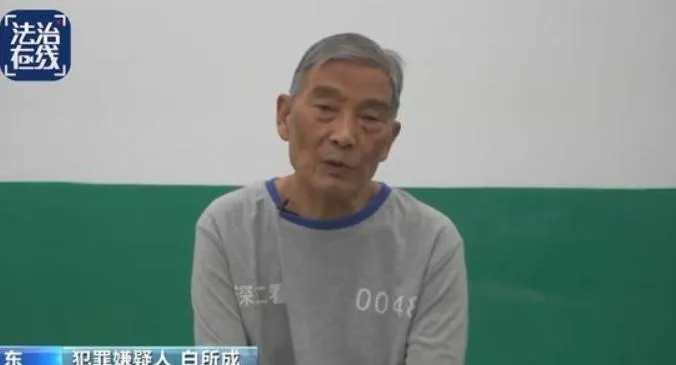 曾在緬北呼風喚雨的白所成。（圖/翻攝《央視網》）