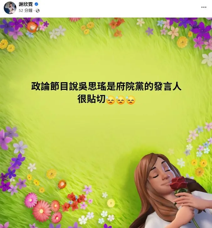 謝欣霓發文點名府院黨發言人可找吳思瑤。(取自謝欣霓臉書)