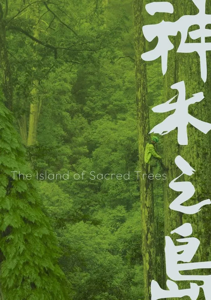 《神木之島》紀錄片追蹤「找樹的人」團體的尋樹之旅。(圖/翻攝神木之島 The Island and the Trees臉書)