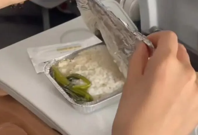 畫面中飛機餐只有一根青菜。(圖/翻攝新浪微博)