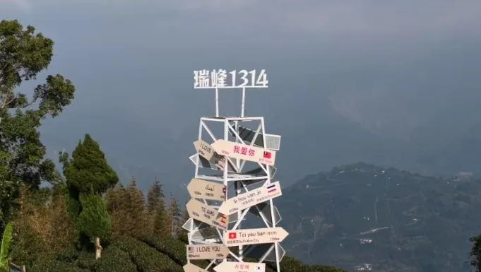 海拔1311公尺的「1314觀景台」，俯瞰雲海與翠綠茶園景觀。（圖／嘉義縣政府）