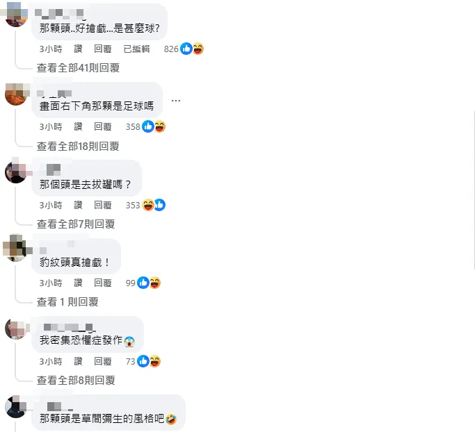 影片中有一顆像「波羅麵包」的頭在鏡頭裡晃來晃去。（圖／翻攝自threads／lala780219）