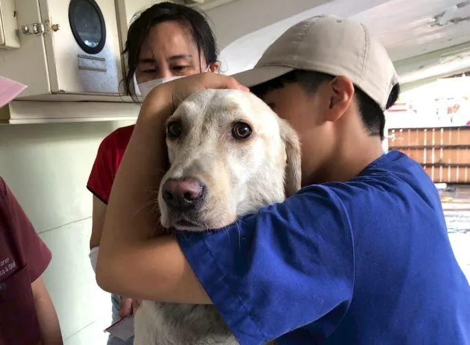 搜救犬Hero與Fancy在光復鄉堰塞湖災後第一時間投入救援。（圖／花蓮縣消防局提供）