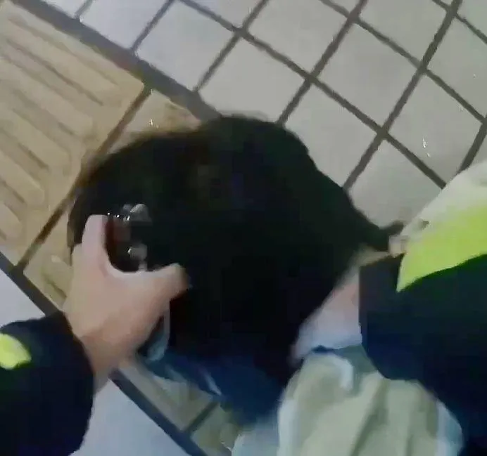 葉男對員警的好言相勸置之不理,回以辱罵跟肢體攻擊。(圖/警方提供)