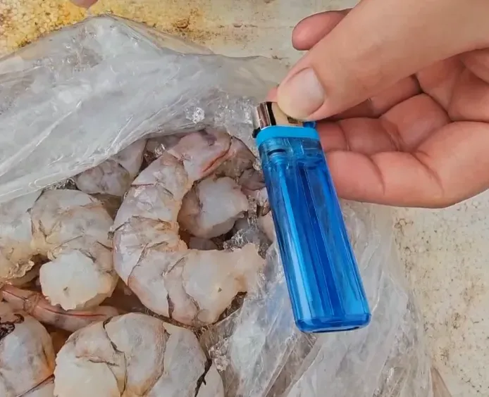 被指控的店家拿出炸蝦球使用的草蝦，個頭肥碩，長度將近1支打火機大小。（圖／中天新聞）