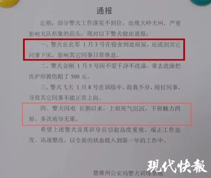 雲南楚雄警犬訓練基地的通報。（圖／翻攝《現代快報》）