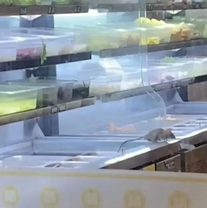 　一隻老鼠大剌剌在食材區亂跑。（圖/翻攝新浪微博）