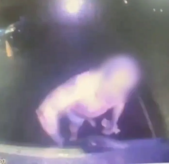 男子狂揍救護車。（圖／民眾提供）