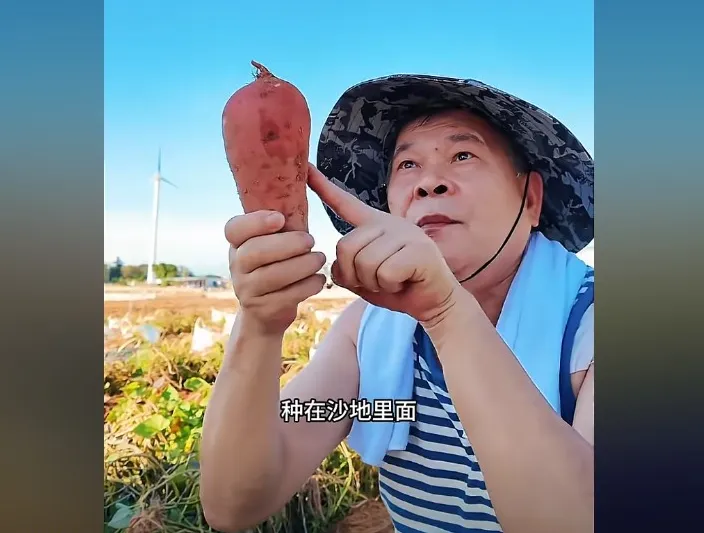澎恰恰7月開始在農田直播。（圖／翻攝澎恰恰 抖音）