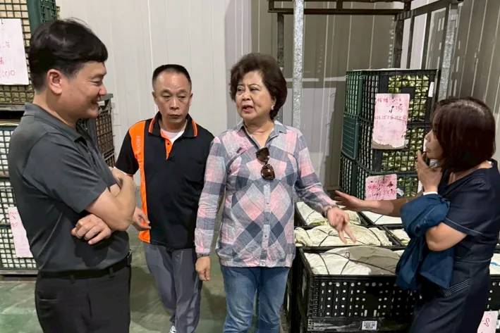 新北果菜公司總經理江惠貞與現場拍賣員到產地視察，了解產地作物受損情況及後續恢復時間評估。（圖／新北果菜公司）