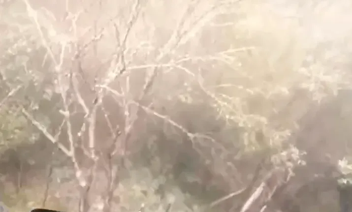 高先生拍下雪景。(圖/翻攝畫面)