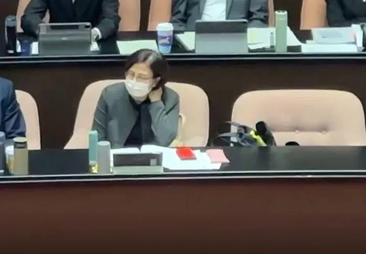 行政院經貿談判辦公室總談判代表楊珍妮。（圖／中天新聞）