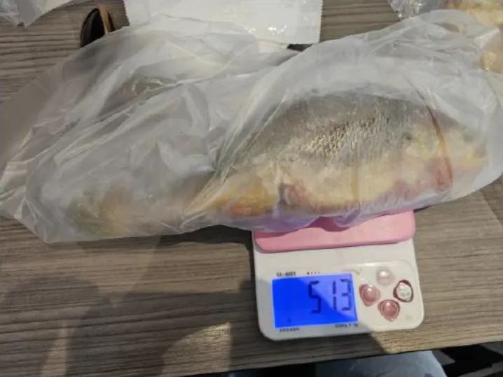 都一處內湖店的養殖黃魚則檢出禁用抗生素恩氟喹啉羧酸。（圖／北市衛生局）