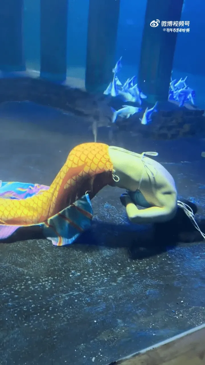 山西一海洋館「美人魚」表演時突抽搐。(圖/翻攝微博)