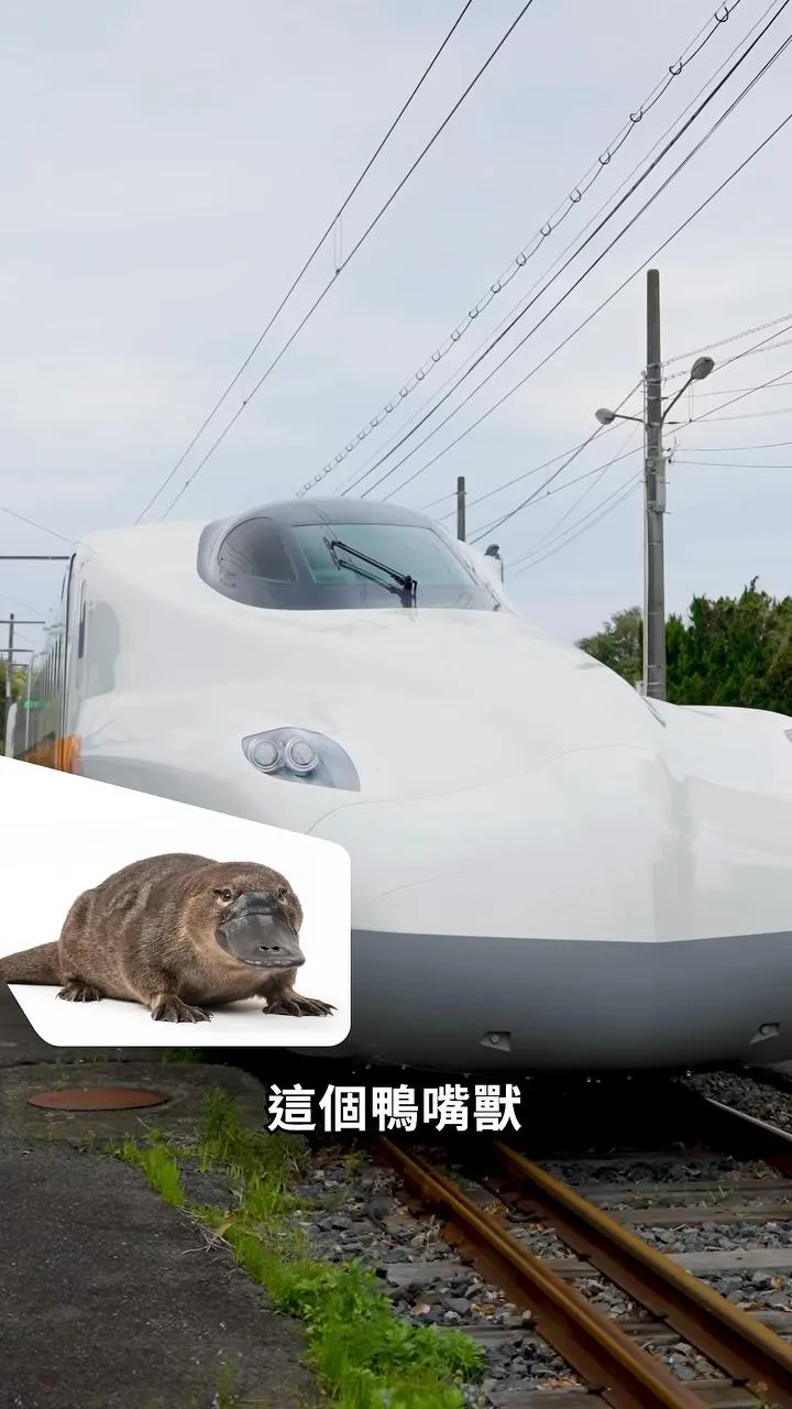 看似簡單的「鴨嘴獸」車頭設計蘊含高度工程技術，進入隧道時效果最為明顯，能大幅度降低風阻。（圖／高鐵提供）