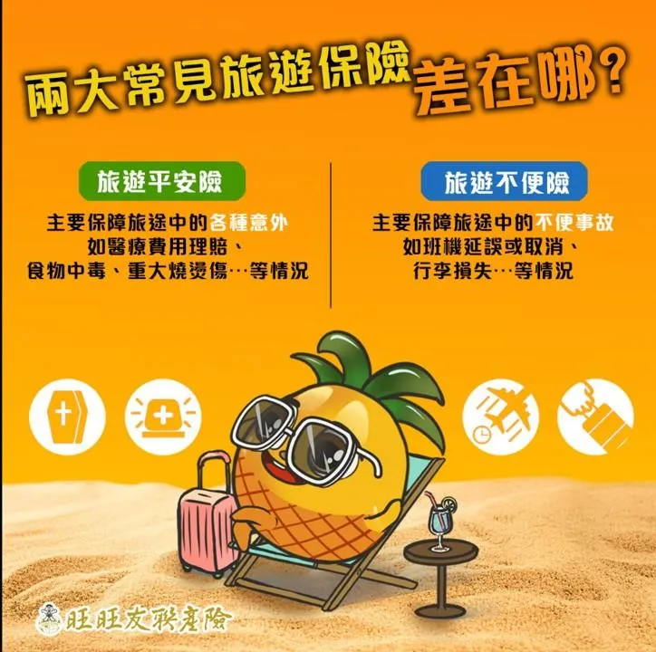 旅遊保險怎麼保 旅平險與旅遊不便險有分別 圖/旺旺友聯提供