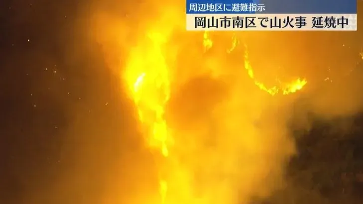 日本岡山縣和愛媛縣交界爆發森林大火。（圖／NNN）