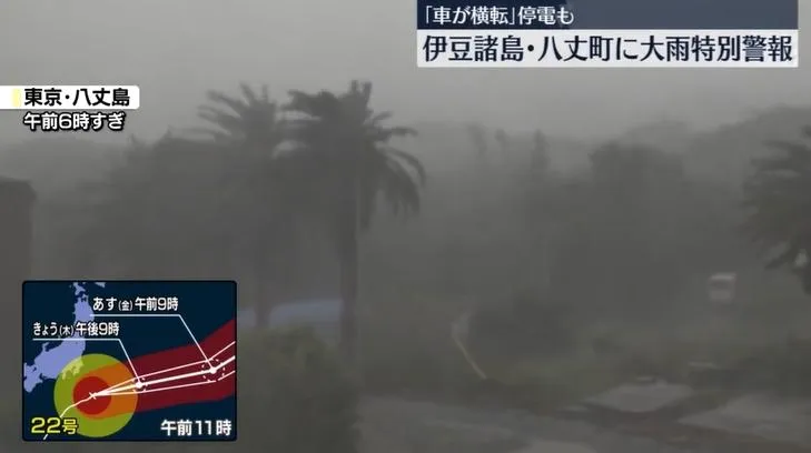 颱風哈隆在東京八丈島造成嚴重災情。（圖／NNN）