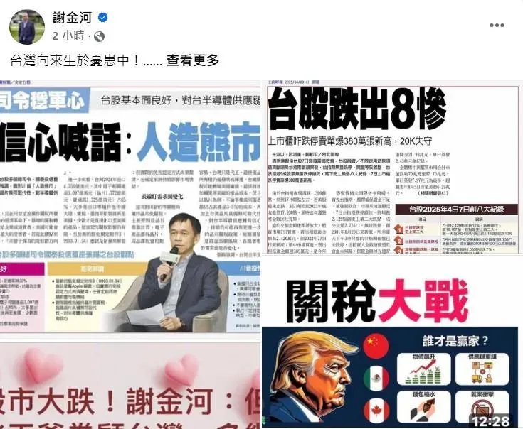 (圖/截自謝金河臉書)