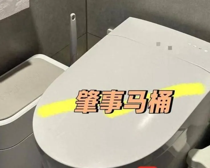 肇事的免治馬桶。（圖/翻攝《網易》）