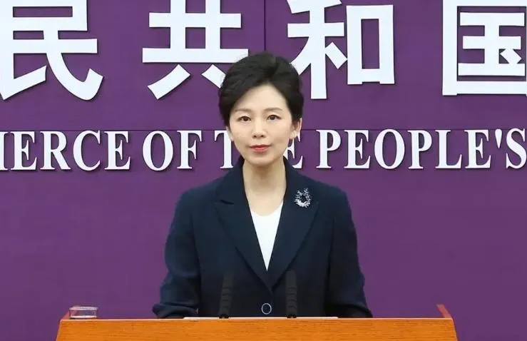 大陸商務部發言人何詠前。（圖／翻攝《搜狐網》）