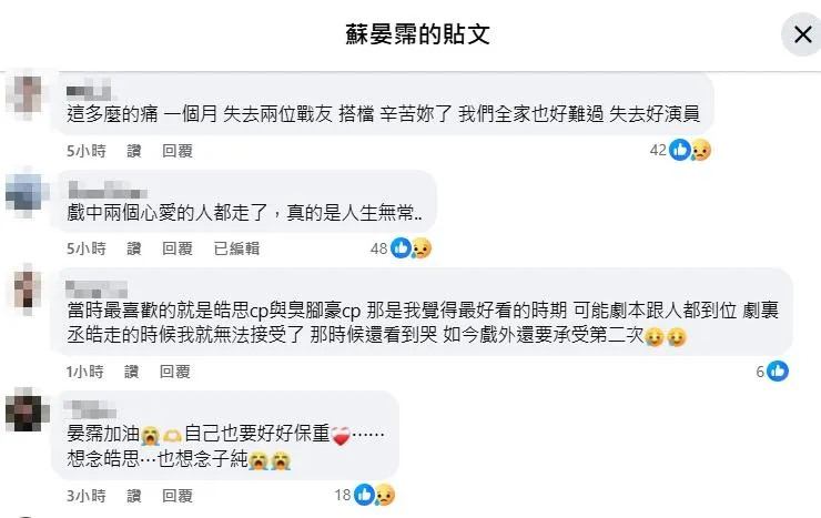 網友留言。（圖／翻攝自蘇晏霈臉書）