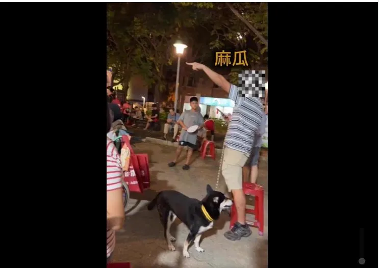 凌濤分享影片指出，有藍營人士上台祝賀中秋、提及張善政近期施政成果，就連續大聲叫囂「麻瓜」。（圖取自凌濤臉書）