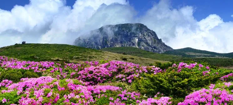 漢拏山國立公園景色。（圖／翻攝漢拏山國立公園官網）
