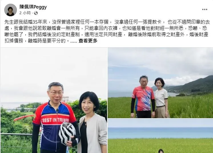 (圖/截自陳佩琪臉書)