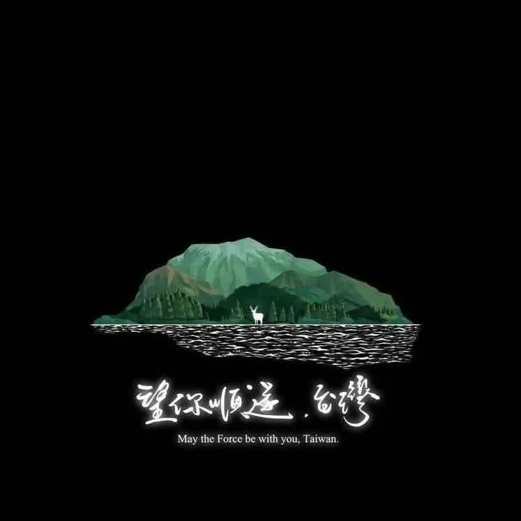 大罷免在即，金馬女配呂雪鳳默默把社群頭像改成「望你順遂，台灣」，暗示自身立場。（圖／翻攝自呂雪鳳臉書）