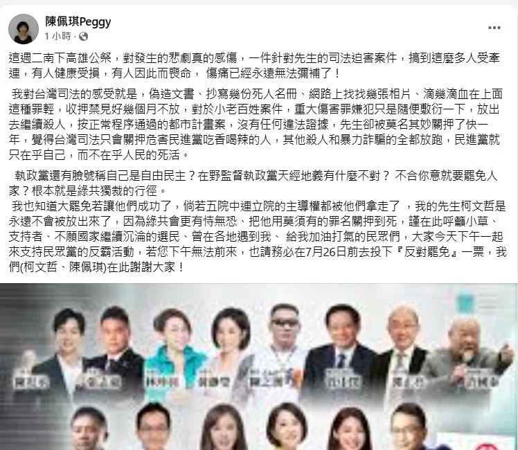 (圖/截自陳佩琪臉書)